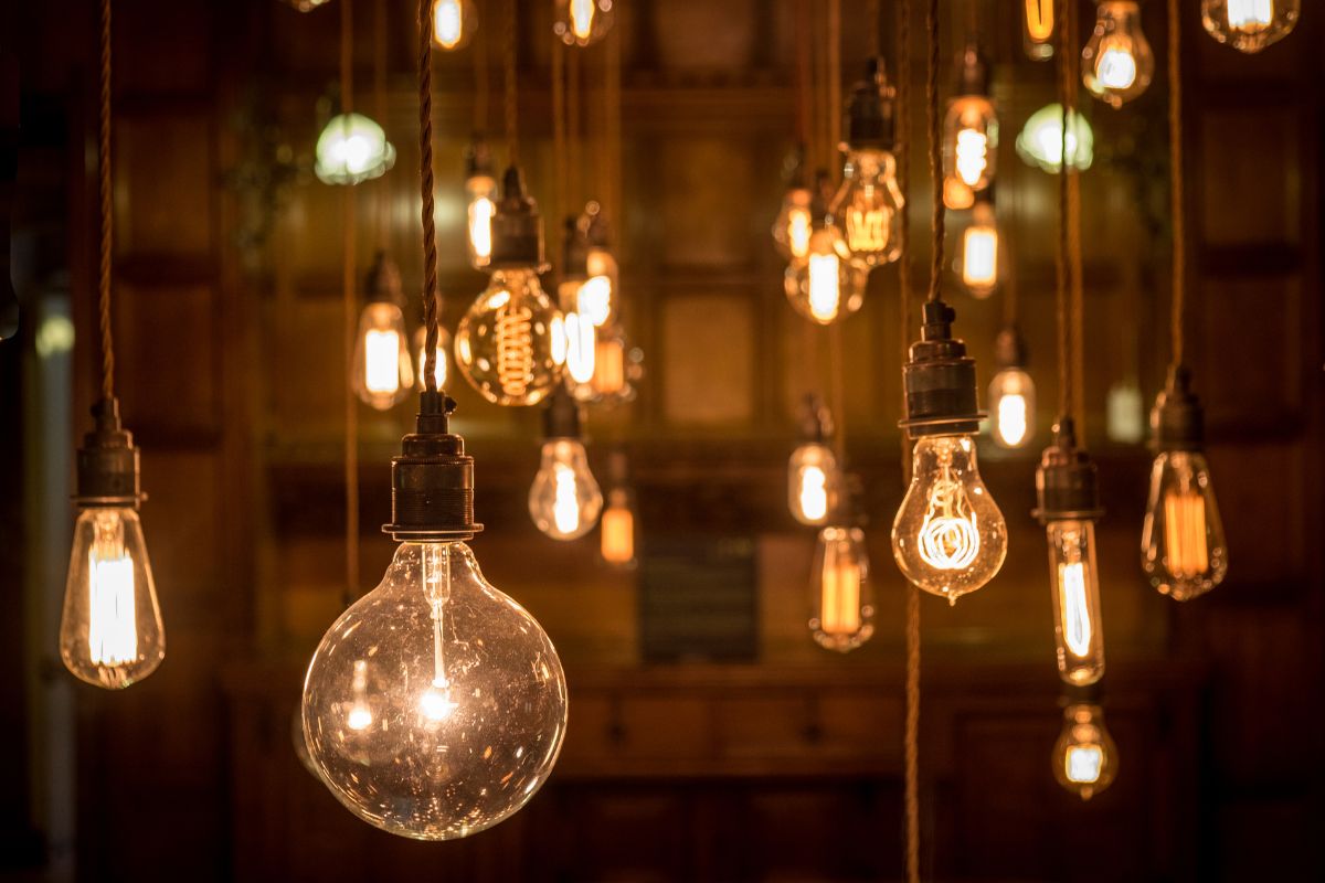 multiple hanging electric lightbulbs