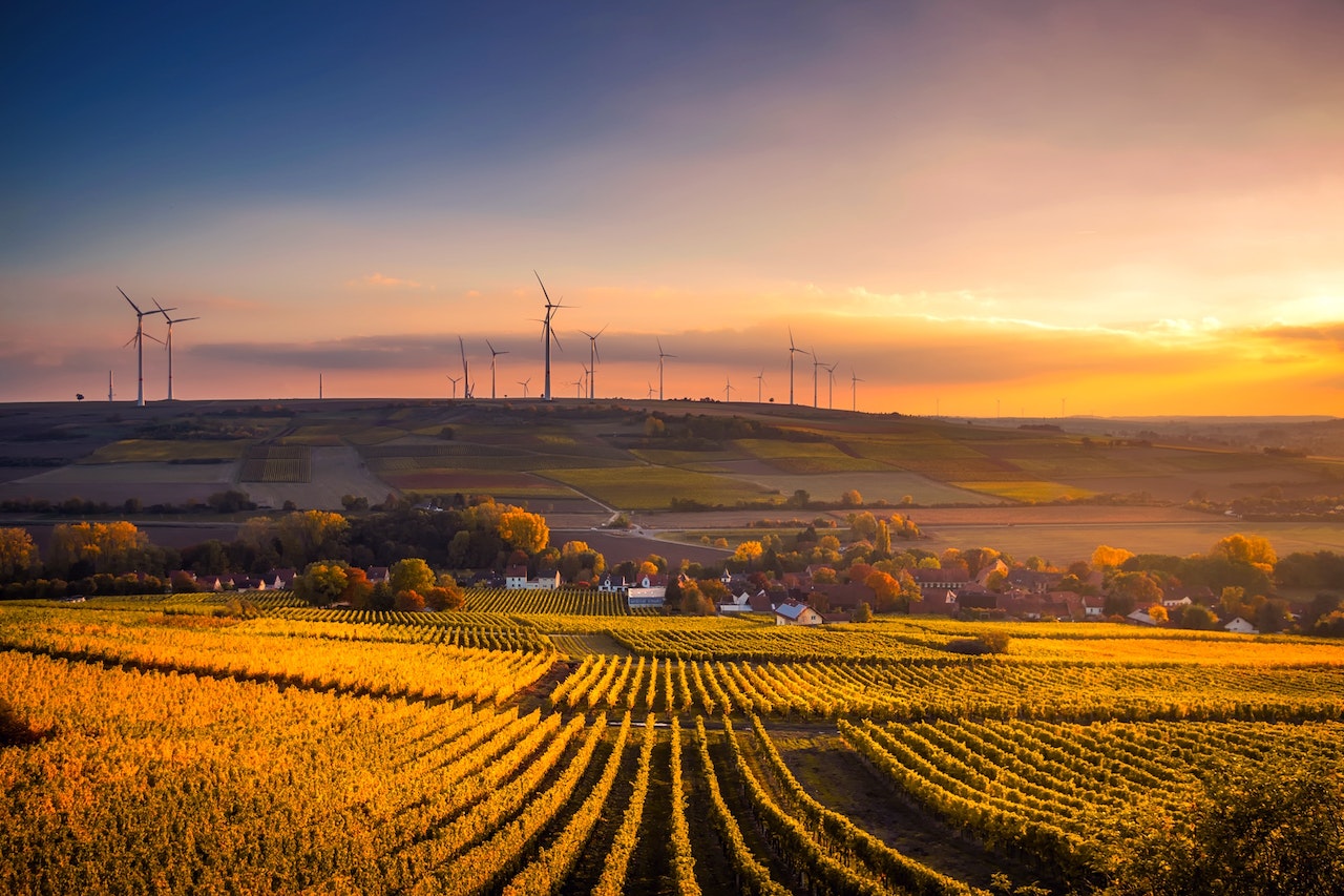 The Ultimate Guide to Renewable Energy for Businesses