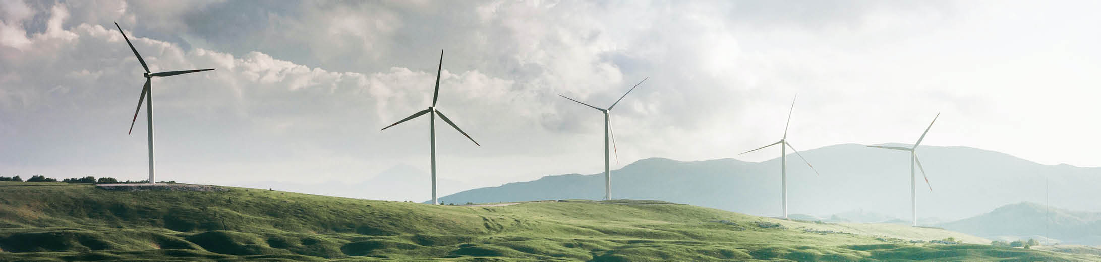 Image of a windfarm showing green energy