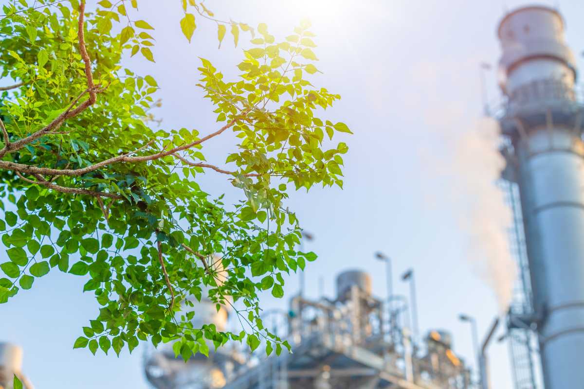 How to Calculate Your Business Carbon Footprint